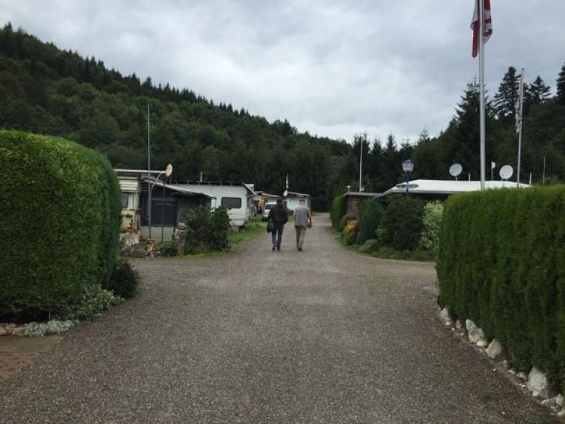 Auf dem Caming Waldschenke Richtung Pixxel