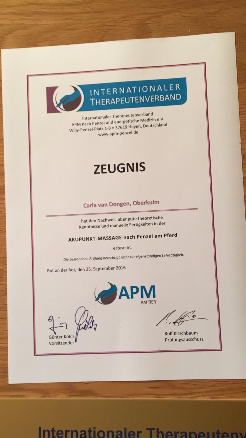 APM Therapeutin