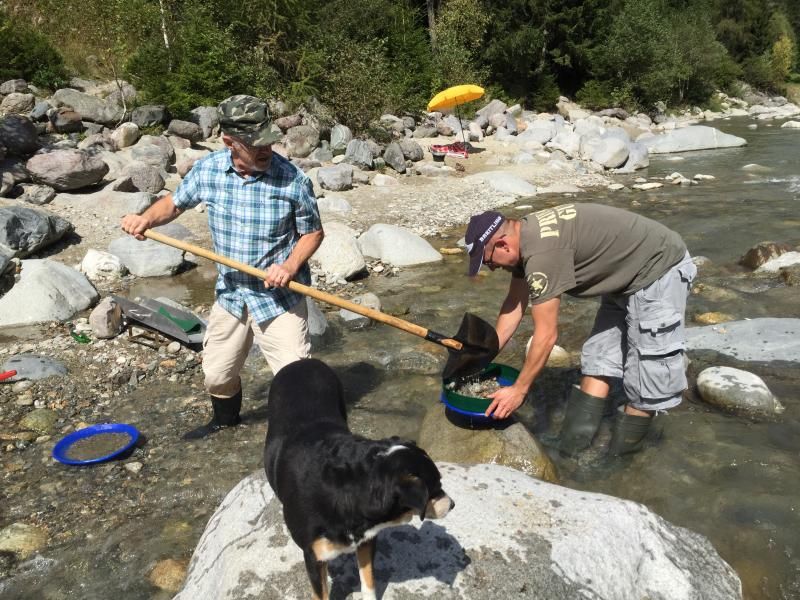 Goldschürfen