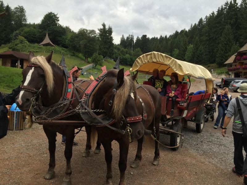 einsteigen bitte....