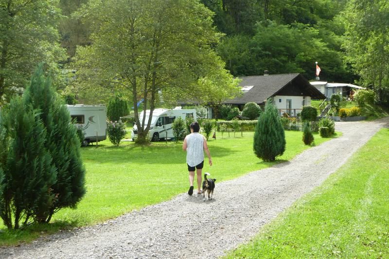 zurück zum Camping