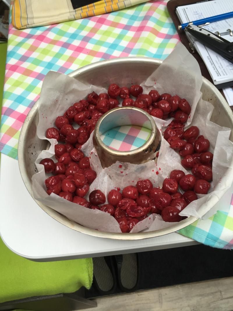 kirschpie stufe 1