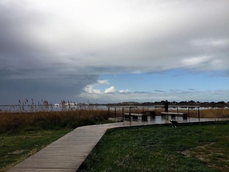 Meer bei Aigues Mortes