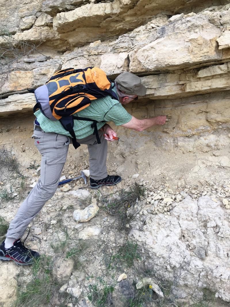 willi fossiling