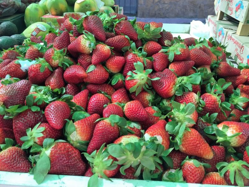 Erdbeeren