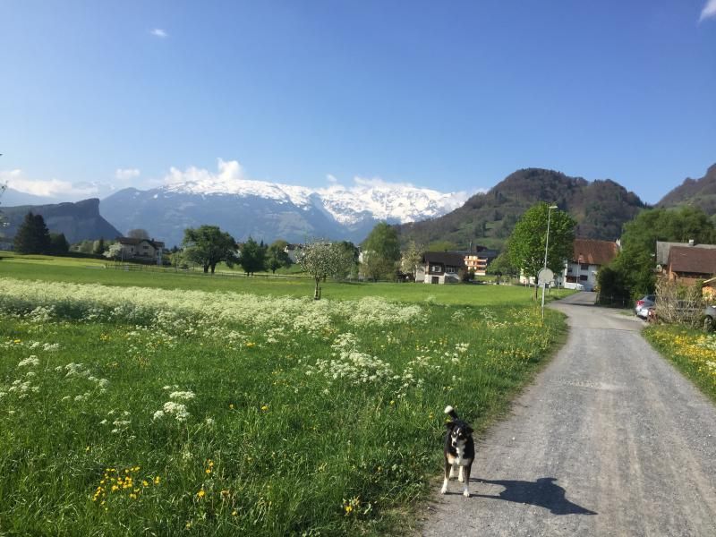 schöne Kulisse in Azmes