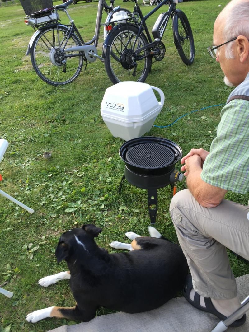 WIlli Dixie und ein kleiner Spatz...