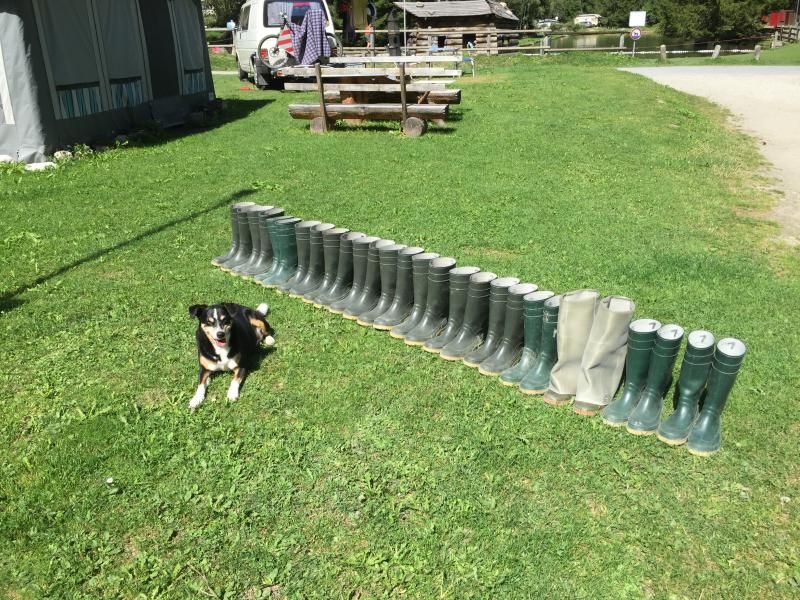 ein Paar Gummistiefel gefällig?