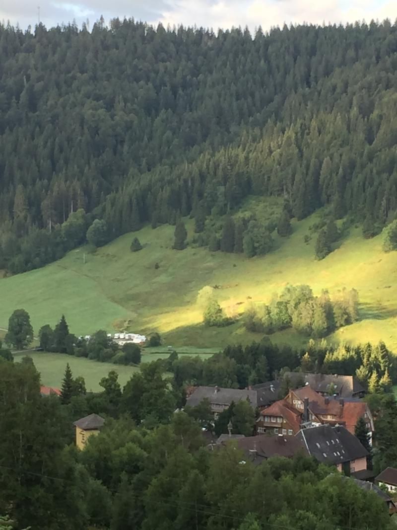 blick auf menzenschwand