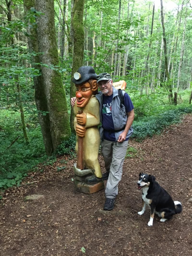 willi im wald mit hütehund dixie