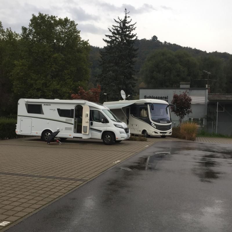 Pixxel mit Concorde Charisma von Kamm's aus Hunzenschwil