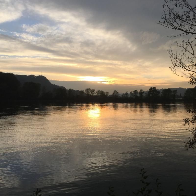 Rhein in Waldshut 14.10.16