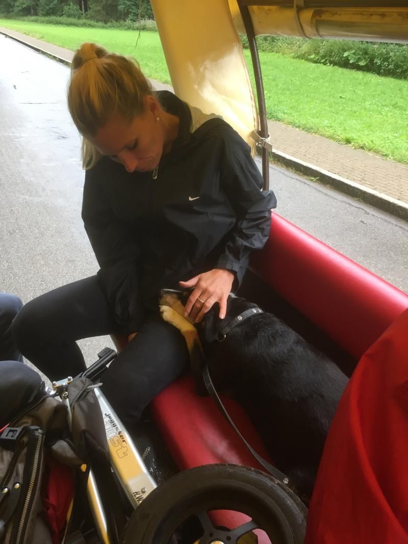 Corina Hundeflüsterin