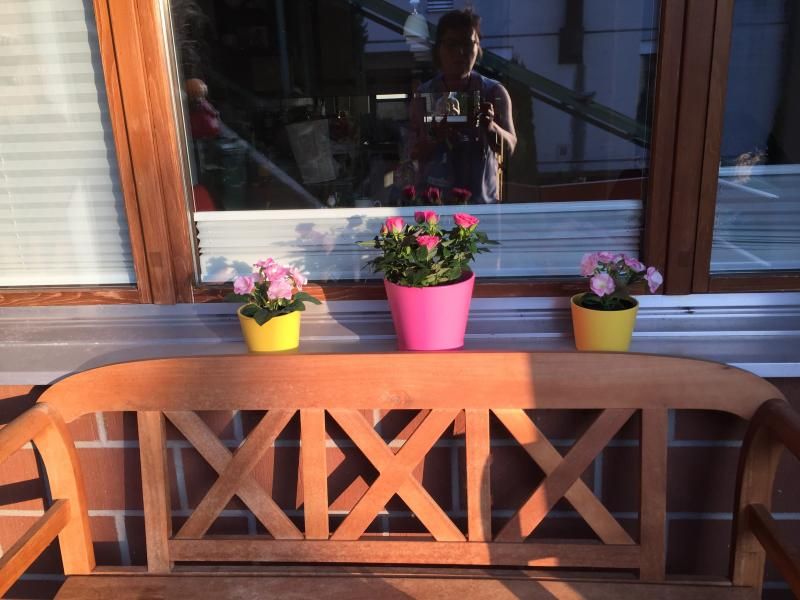 zuhause erwartet mit Rosen