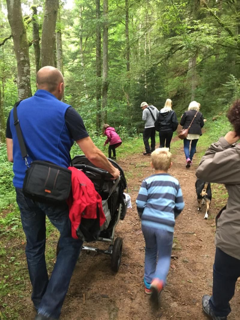 Abmarsch durch den schönen mystischen Wald