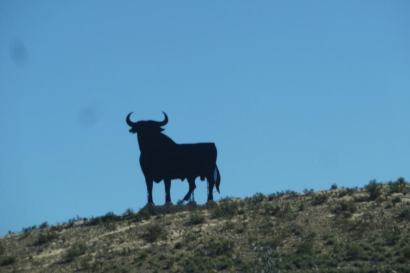 el Toro