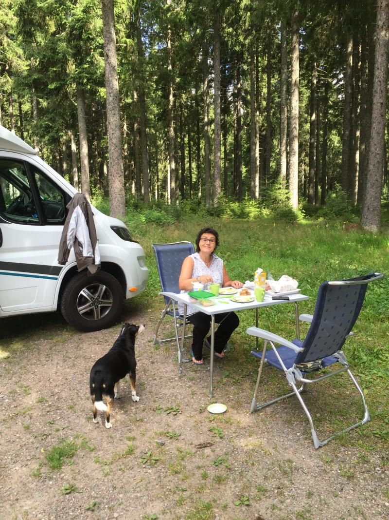 zmorge im wald bei faulenfürst herrlich