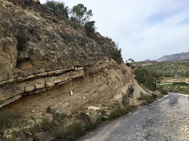 Fossil Schicht