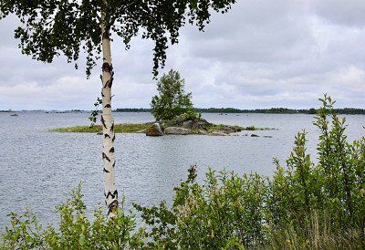 winzige Schaereninsel mit Birken bei Finnskat