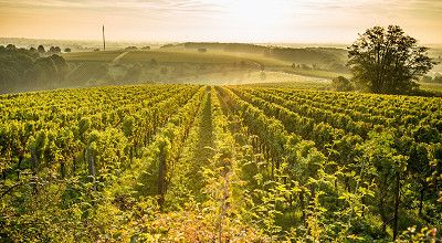 Motorhome tour German Wine Route