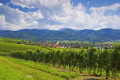 Uitzicht vanaf Ehrenkirchen naar de Belchen in Markgräflerland