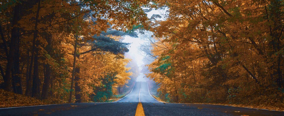 Landstraße in Finnland im Herbst