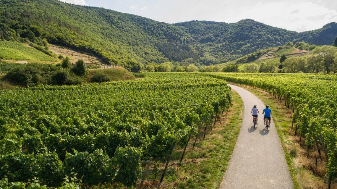 Radfahrer in den Weinbergen bei Mayschoss im Ahrtal