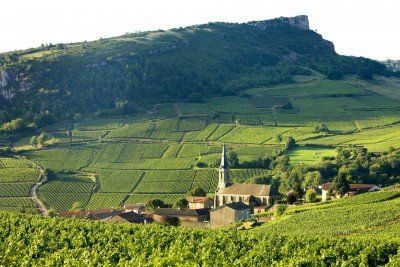 De Bourgogne, kilometers wijngrond in Frankrijk