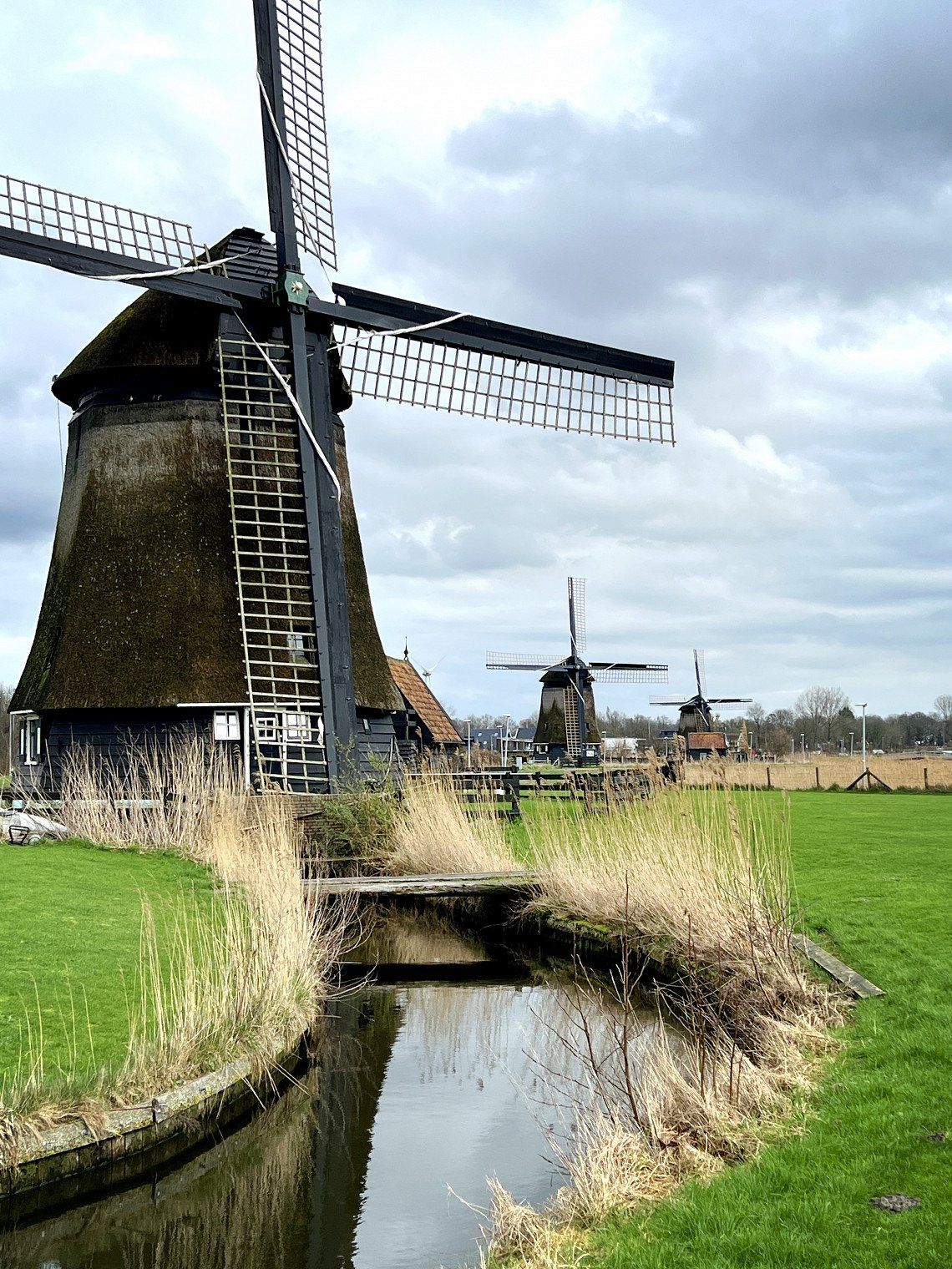 Small discovery tour in the Netherlands…