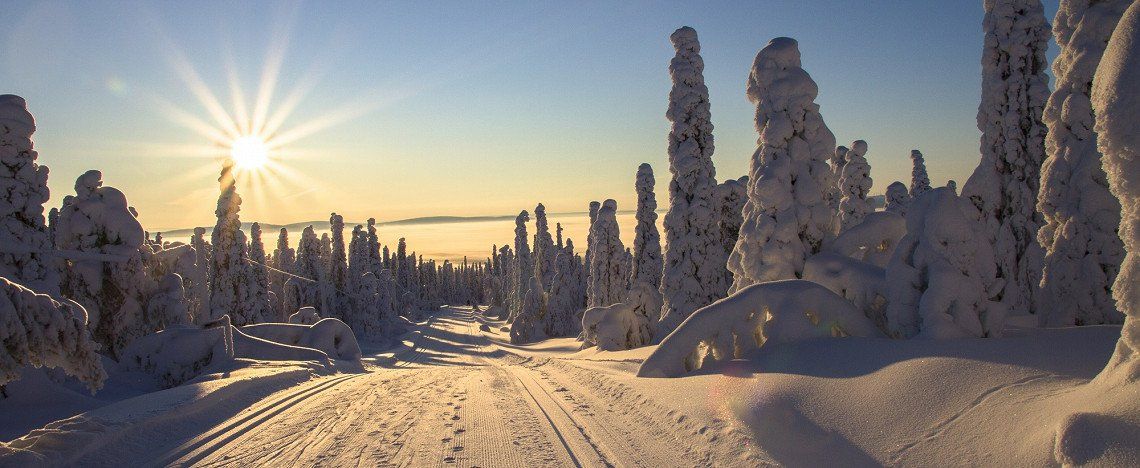 Verschneite Straße im Winter in Lappland, Finnland 