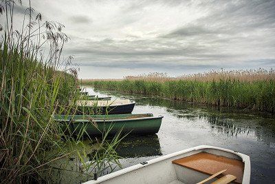 Boote auf dem Federsee im Schilfbereich