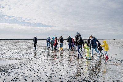 Gruppe Menschen bei Wattwanderung an der Nordsee