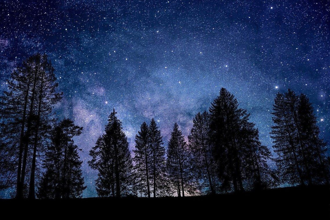 Sternenhimmel über Waldgebiet