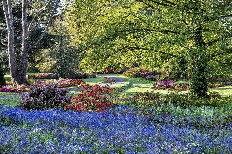 Colourful gardens and parks in Ireland