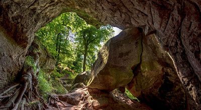 Campingtrip ins Müllerthal