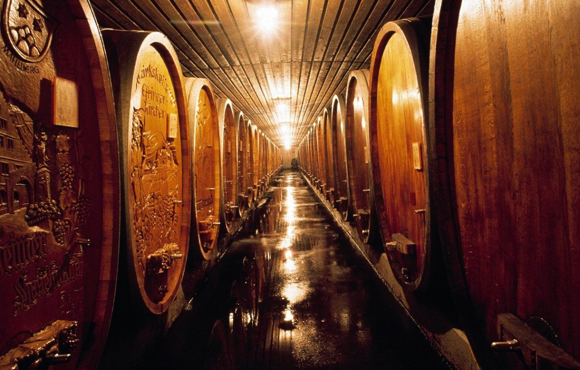 Grote houten vaten in de wijnkelder van Baden