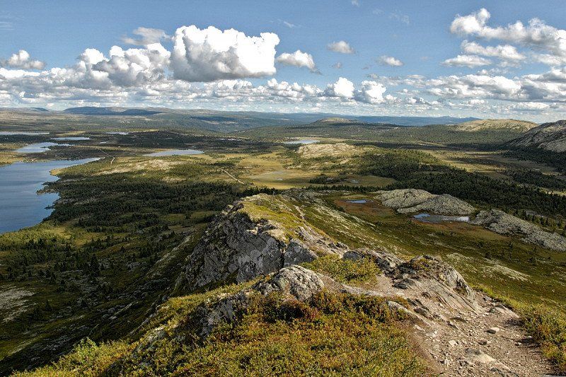 Wandertipp Norwegen: Leichte Rundwanderung im Rondane Nationalpark