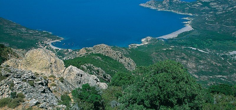 Wandertipp Korsika: Abwechslungsreiche Tour auf den Capu Tondu