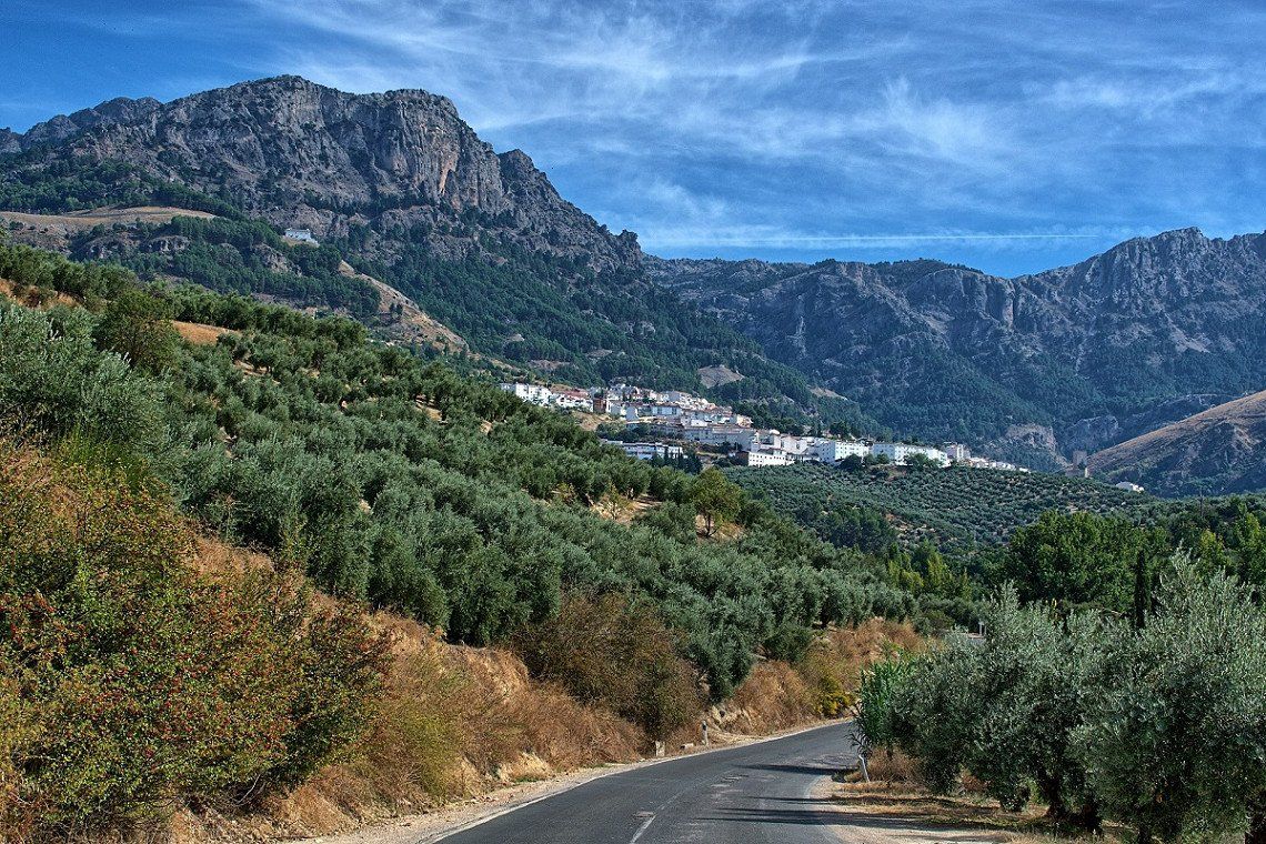 Landschaft und Strasse in Andalusien