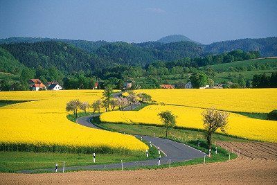 Section of the Romantic Road through rapeseed fields