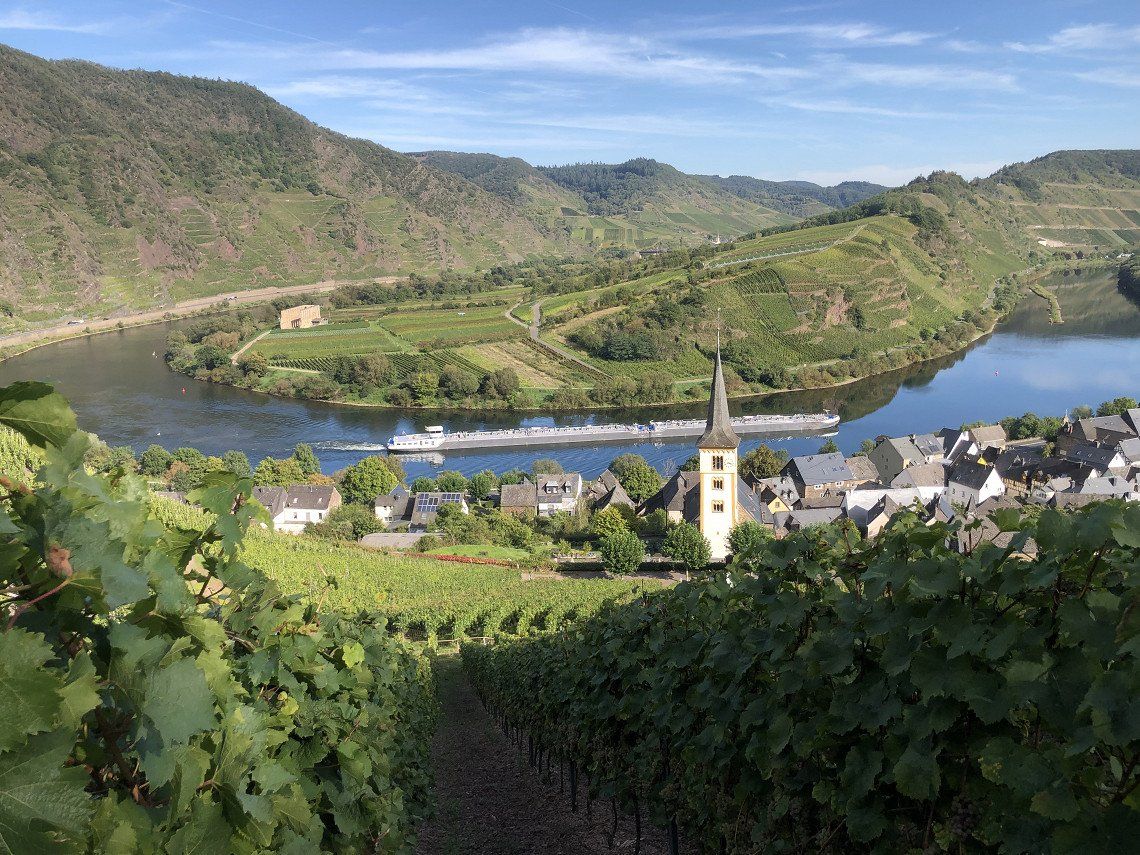 Mosel - Rhein - Neckar Herbst 2023