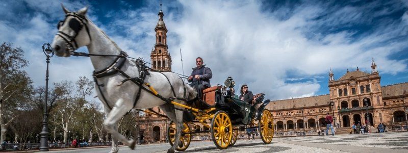 Stedentrip Sevilla