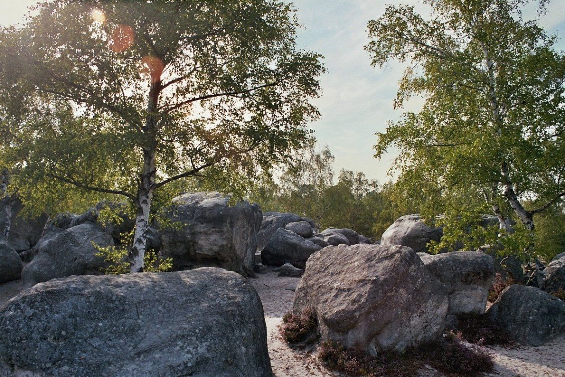 Bouldergebiet im Wald von Fontainebleau