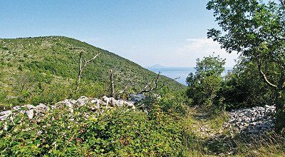 Wandertipp Kroatien: Rundwanderung zur Landspitze Crna Punta