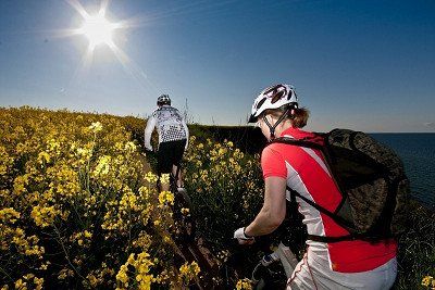 Mountainbiker auf Pfad durch Rapsfeld an der Ostsee