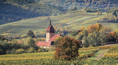 Kamperen in Duitsland: de hoogtepunten langs de Duitse Wijnroute - deel 1