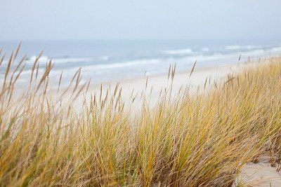 Dünen und Strand an der Ostsee