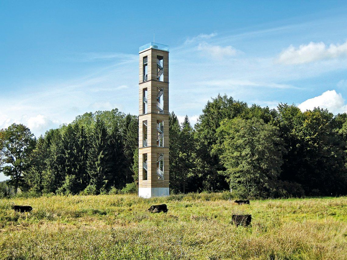 Blick auf Bannwaldturm im Pfrunger-Burgweiler Ried in Oberschwaben