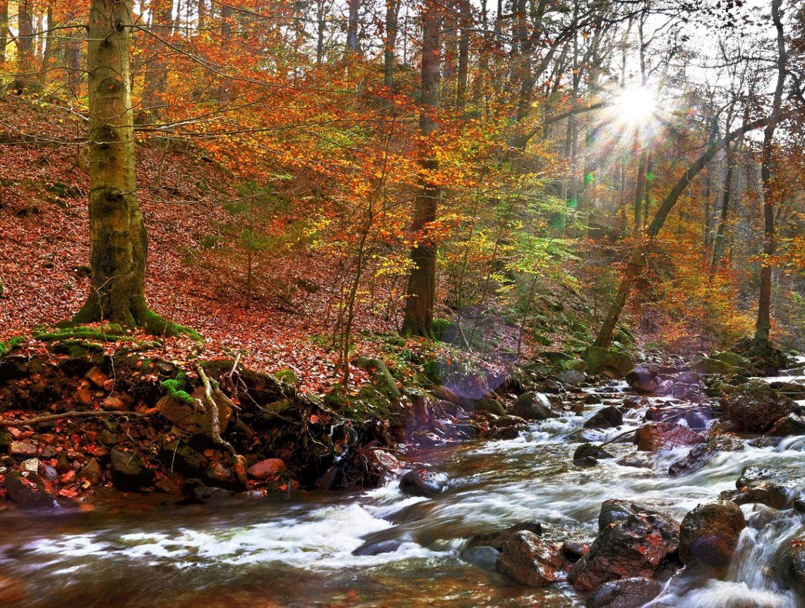 The Ilse valley in the Harz Mountains with autumn leaves