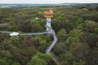 Baumkronenpfad Hainich und Aussichtsturm von oben